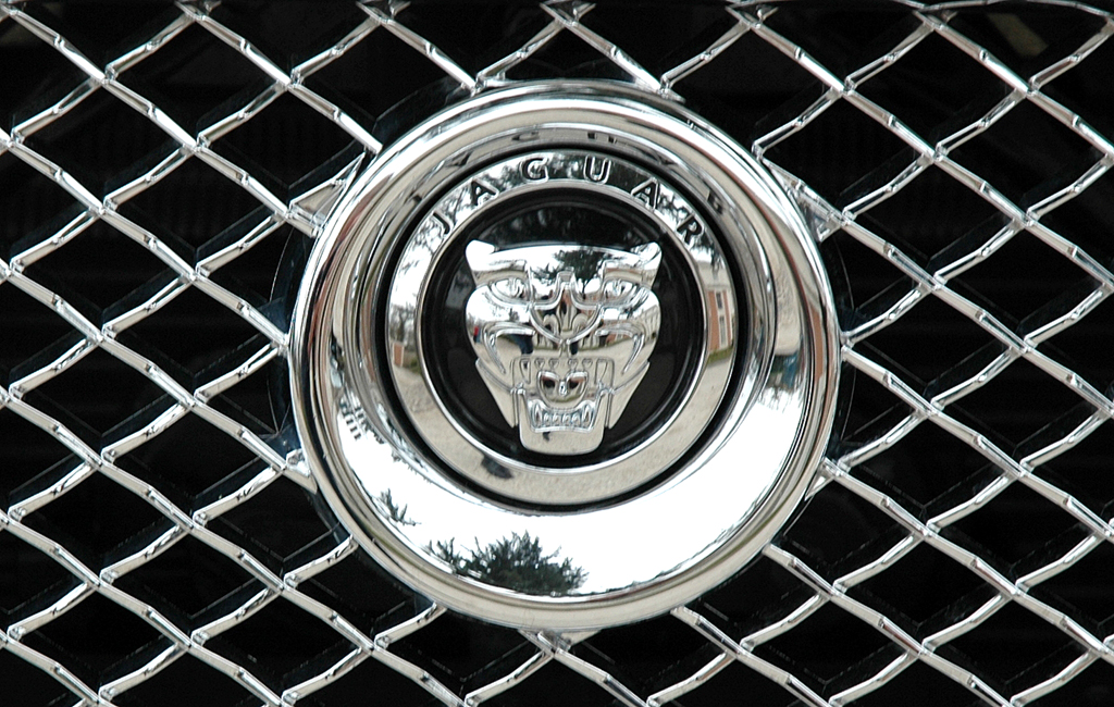 Jaguar - Bild(4)