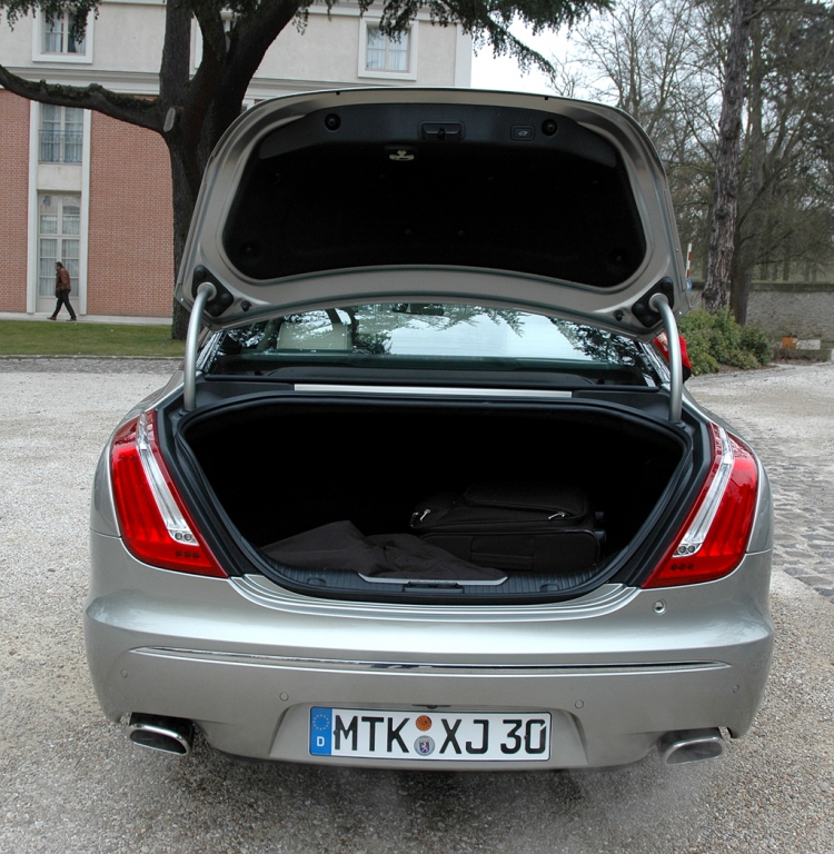 Jaguar - Bild(8)