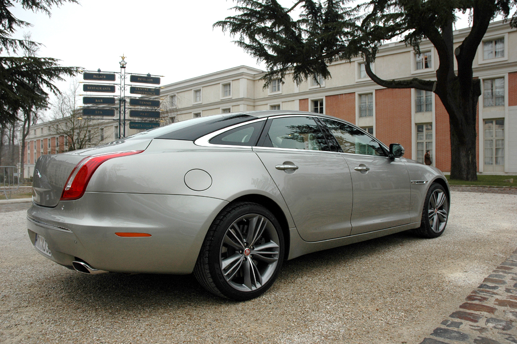 Jaguar - Bild(9)