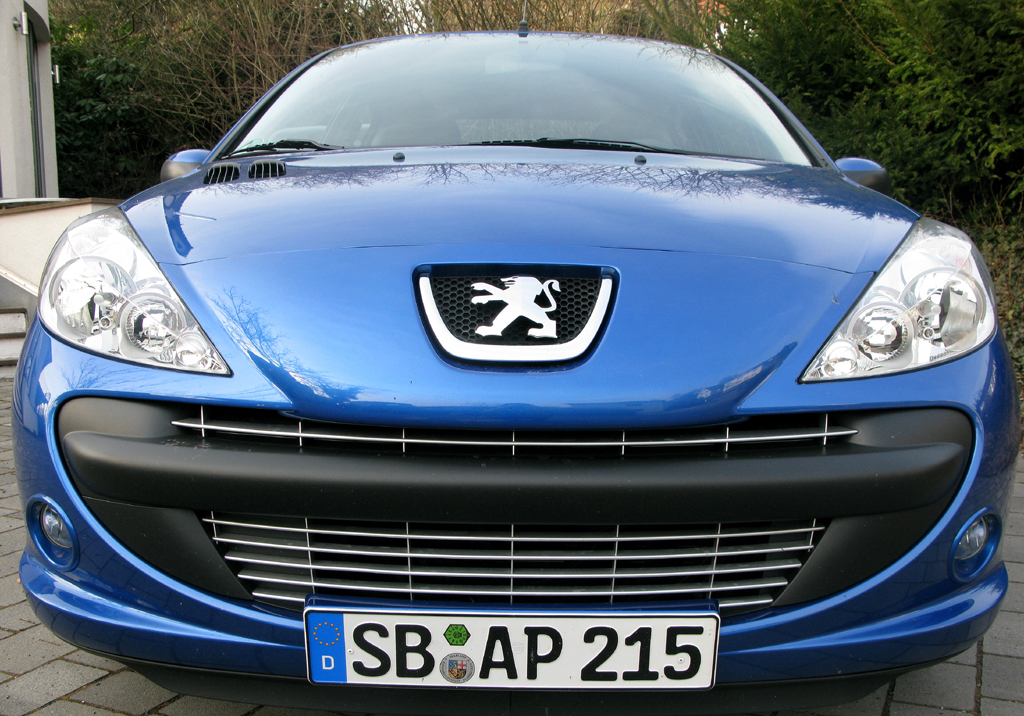Peugeot 206+: Frontansicht noch mit großem 
