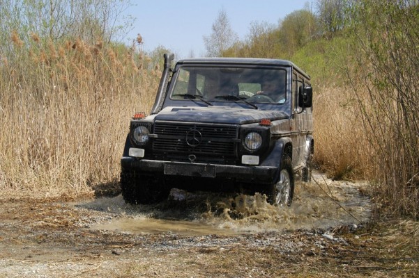 Ur-G-Stein: Mercedes G Professional