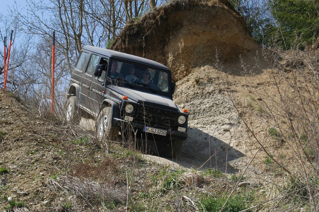 Ur-G-Stein: Mercedes G Professional