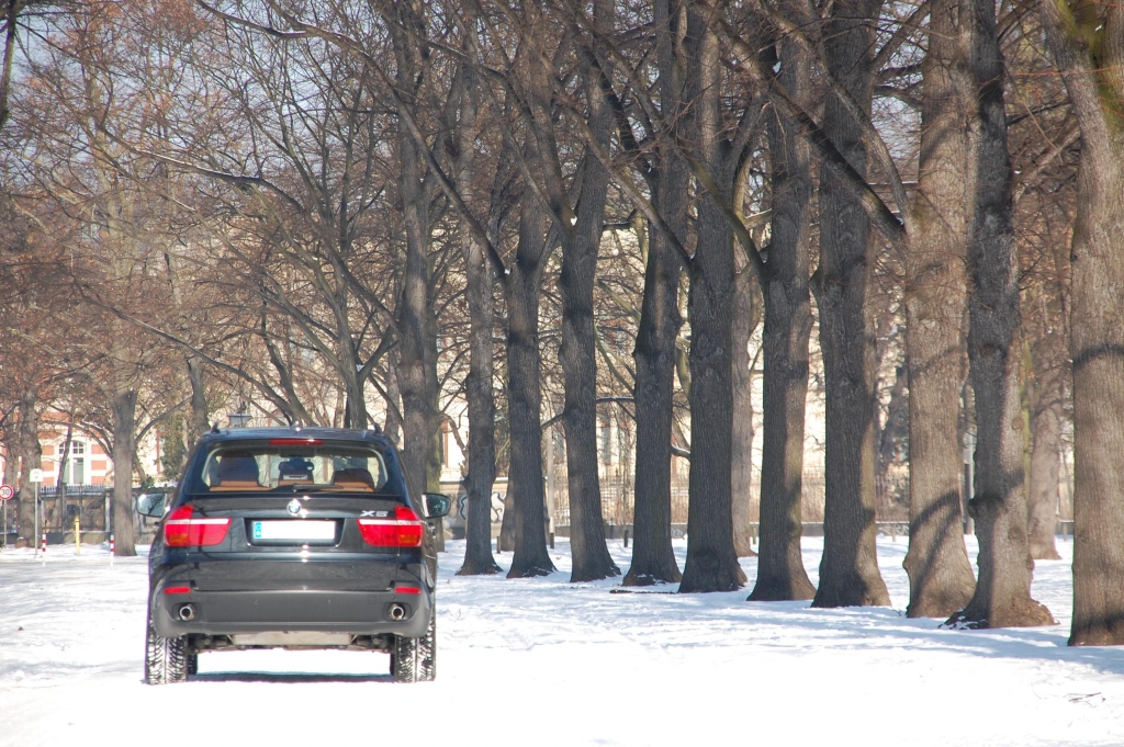 Ausfahrt BMW X5 xDrive30d: Bayerische Offroad-Eleganz