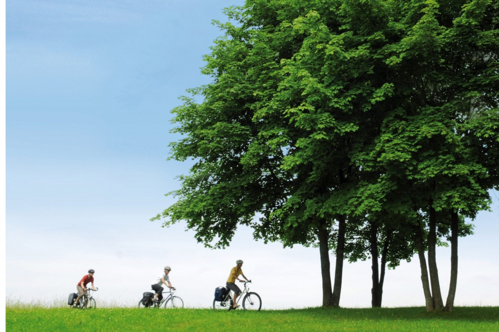 Leasing: Fahrrad statt Auto 