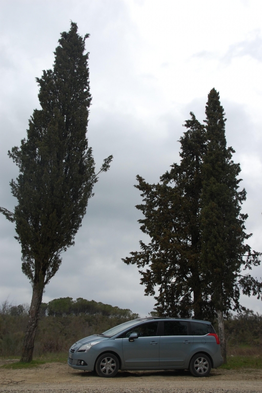 Peugeot 5008 1.6 l 155 THP Premium: Panoramablick auf allen Plätzen
