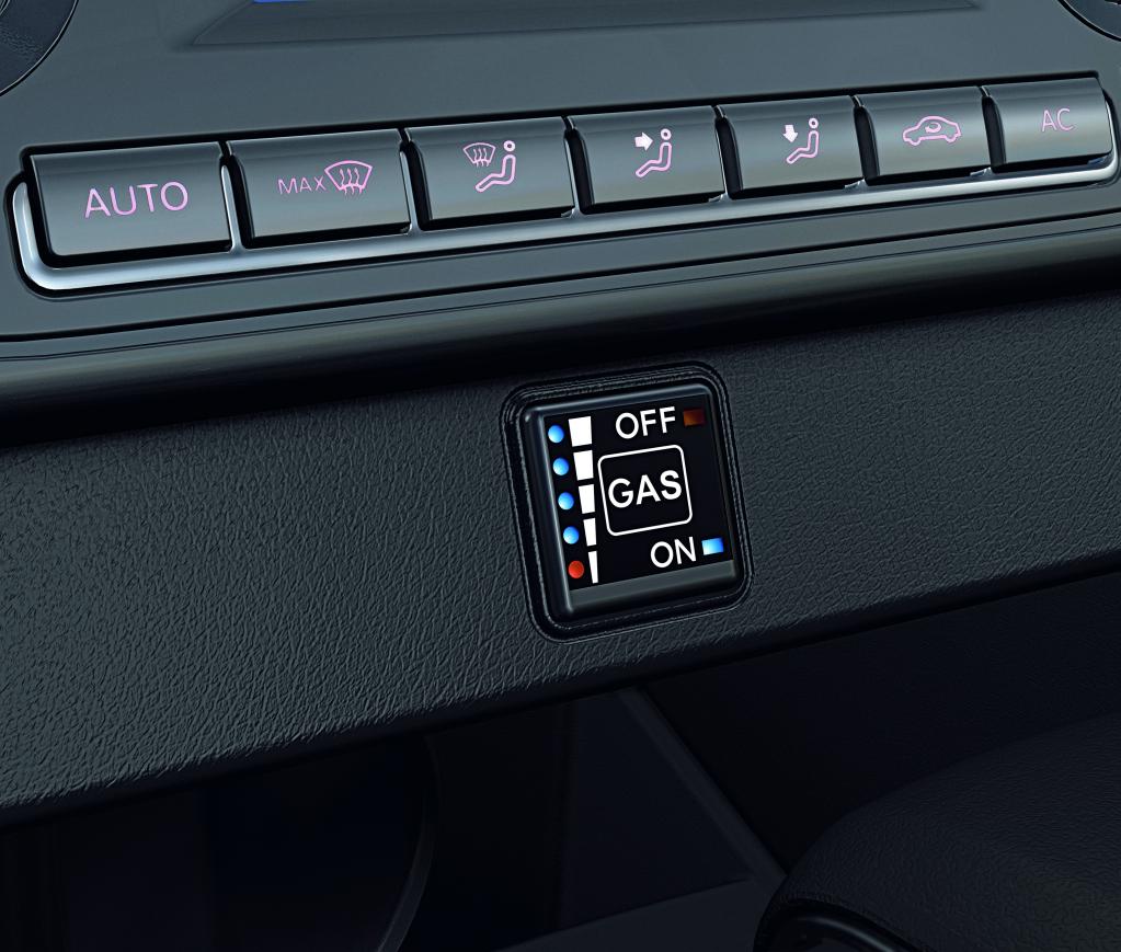 Volkswagen Polo Bifuel.