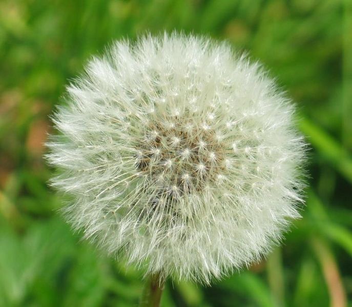 Volvos Ziel es ist, CO2-neutrale Fahrzeuge ohne gesundheitsschädigende Stoffe zu entwickeln