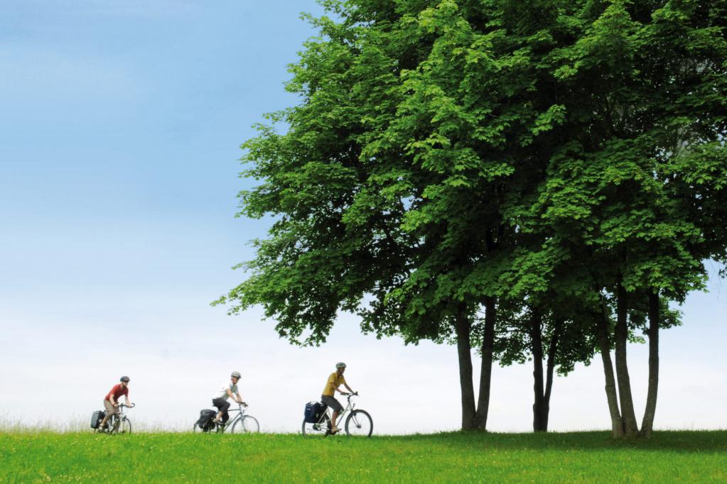 Mit kleinen Kindern sicher Radfahren 