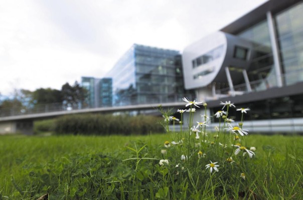 Grüne Seiten der Gläsernen Manufaktur