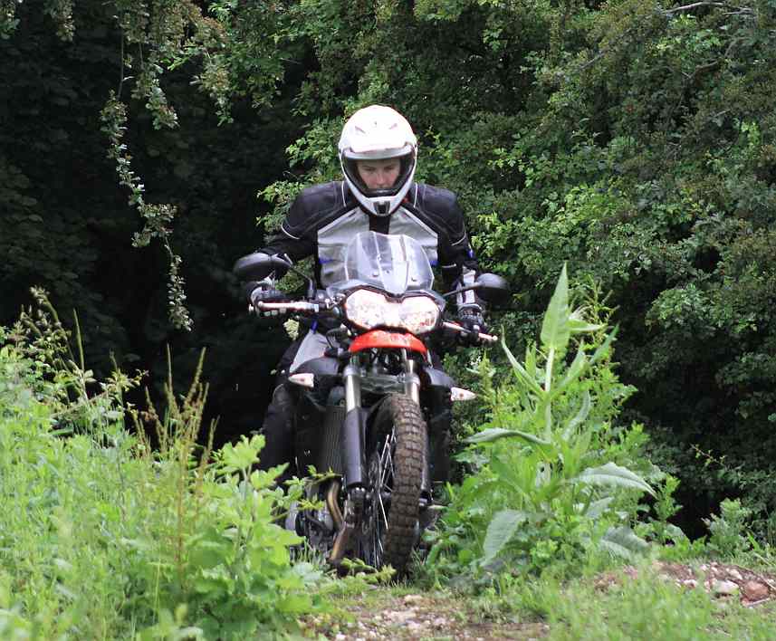 Triumph plant neue Baureihe