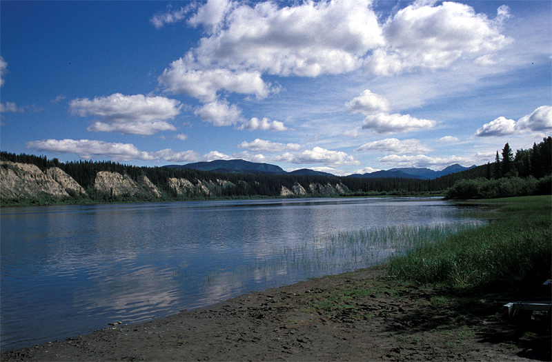 Am Teslin River, Bild von: Andreas Trepte