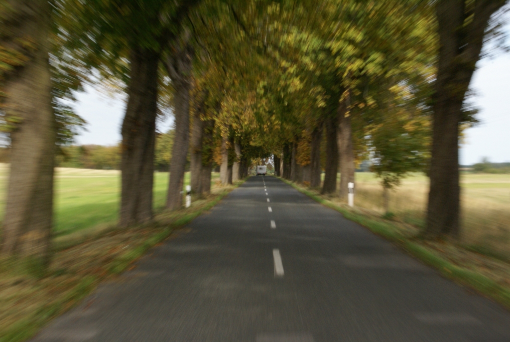Baumreihe statt Radargerät?