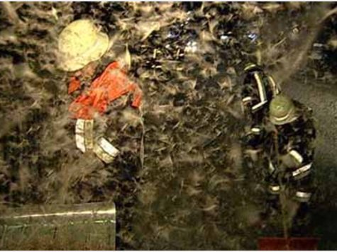 Feuerwehrmann kämpft mit Eintagsfliegen