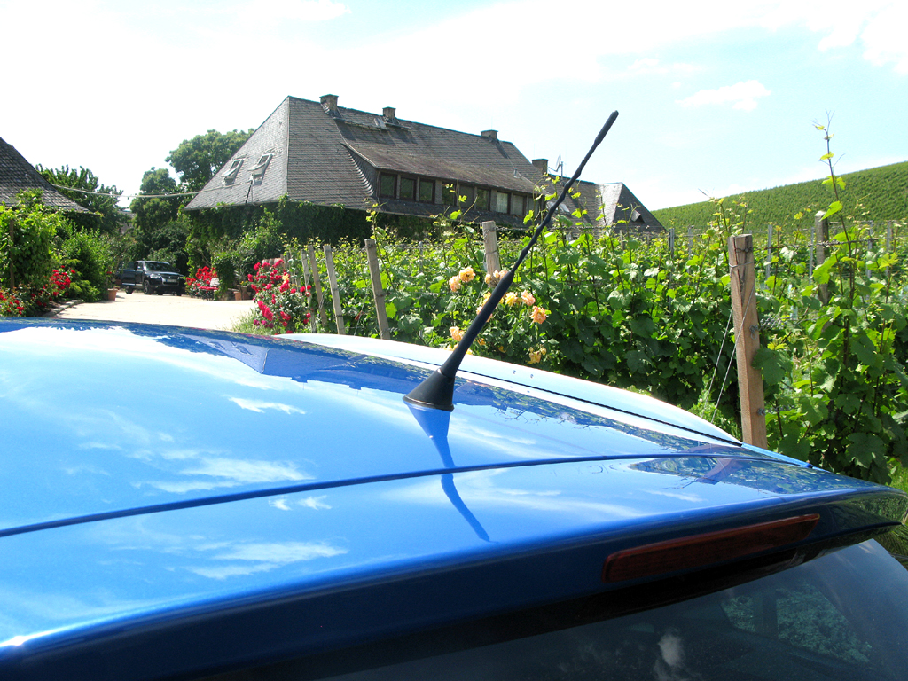Seat Ibiza ST: Blick auf Stabantenne und Dachkantenspoiler. 