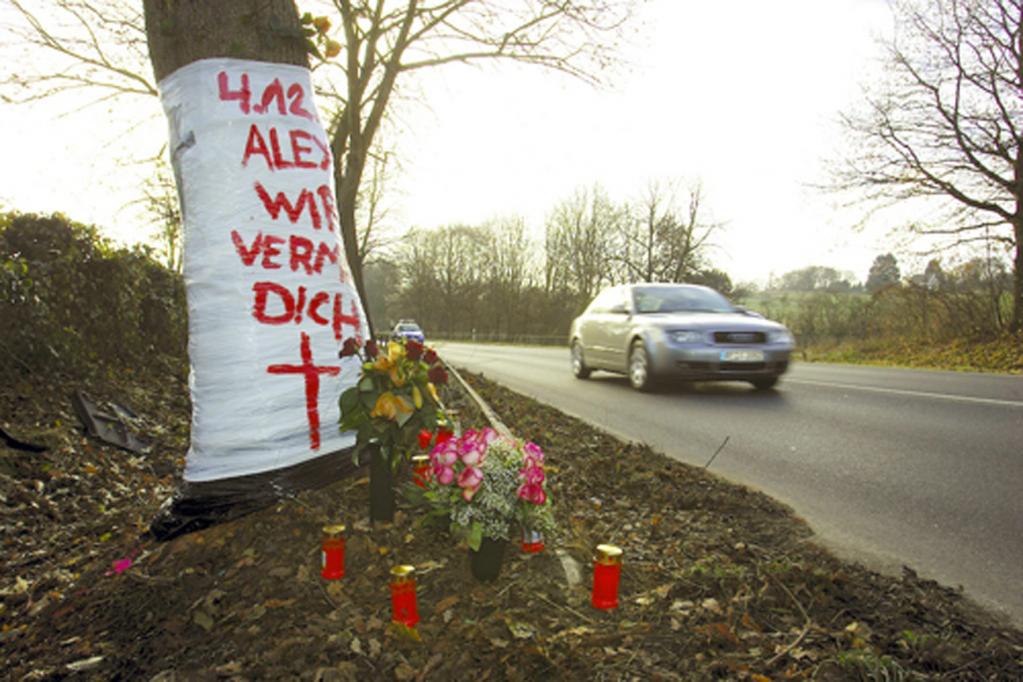 Viele Verkehrstote durch Baumunfälle 