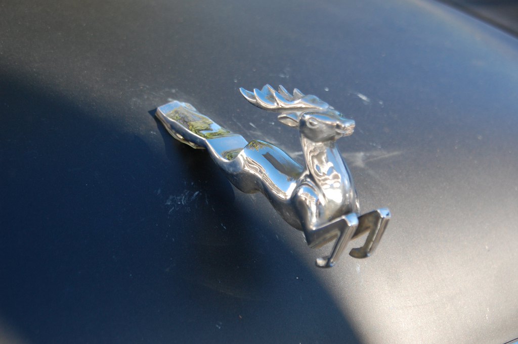 Der springende Hirsch ist das Symbol der russischen Automarke GAZ