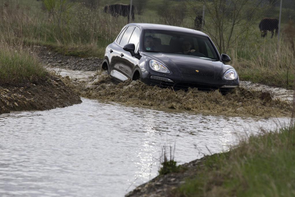 Die Idylle des Offroad-Geländes wird von 70 Auerochsen und 20 Wildpferden unterstichen. 
