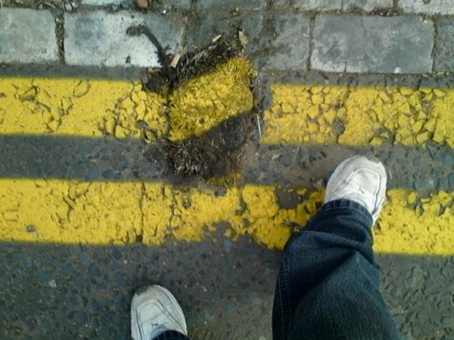 Einfach ignoriert - toter Igel am Straßenrand, Foto von: talktalk.co.uk
