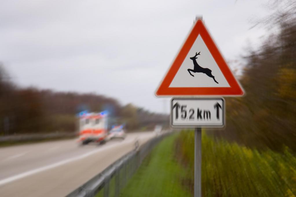 Vorsicht bei Wildwechsel.