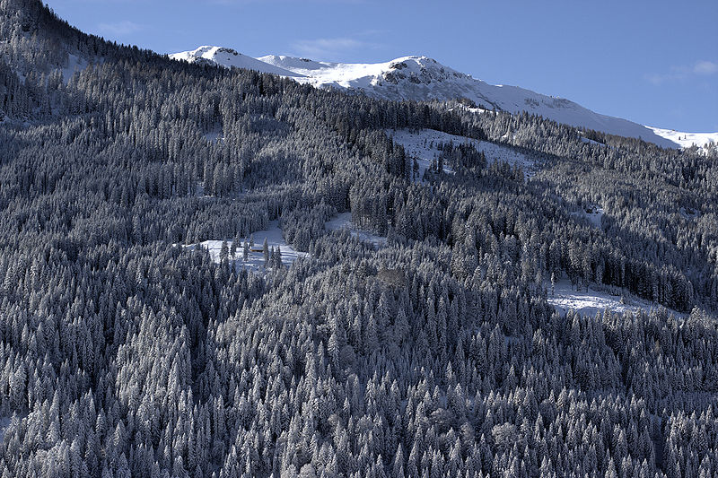 Werden Winterreifen knapp?