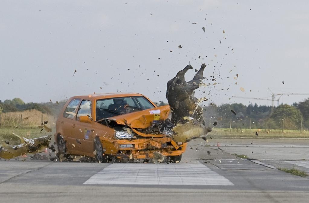 Wildunfall-Crashtest des ADAC.