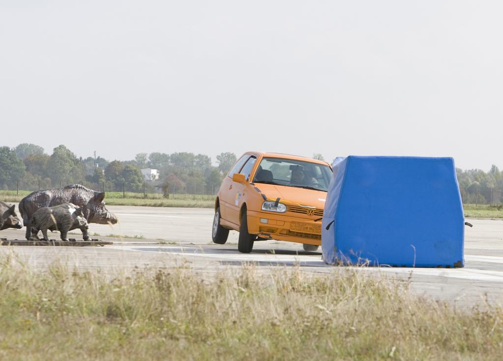 ADAC-Test: Unfallsimulation mit Wildschweinrotte.
