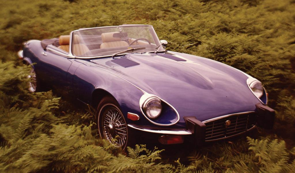 Ein Jaguar E-Type ist ebenfalls eine gute Investition. 