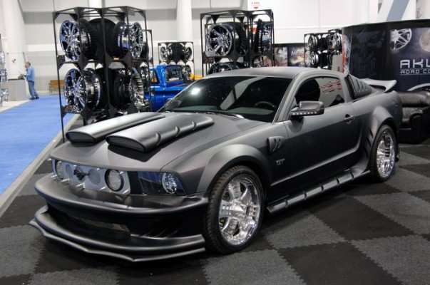 Ein Pony mit Tollwut? Findet ein Mustang-Fan. 