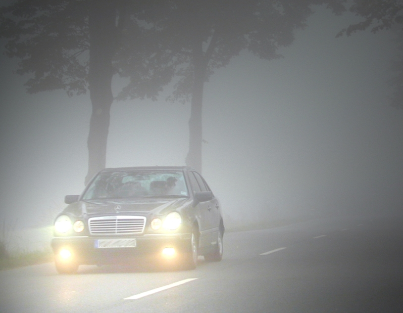 Ratgeber: Fahren im Nebel