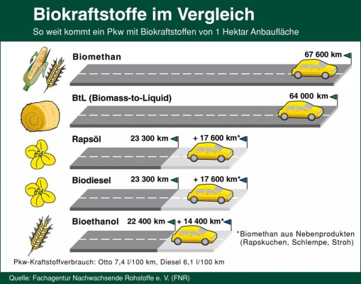 Biomass-to-Liquid - Zwischenschritt auf dem Weg zum Null-Emissionsfahrzeug