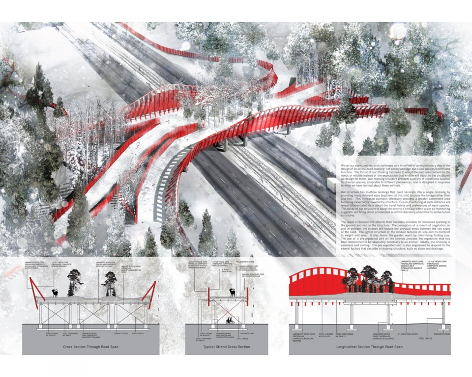 Design-Wettbewerb: Autobahnüberquerung für Tiere