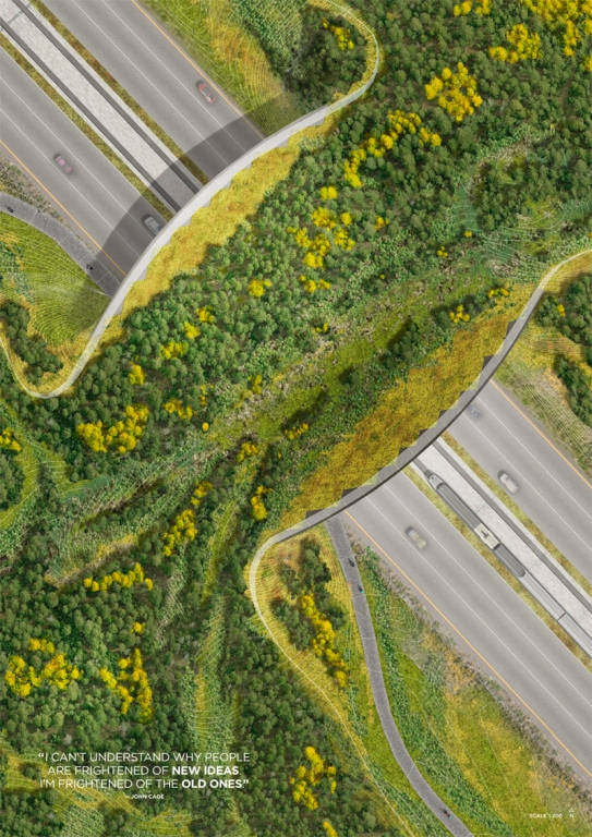 Design-Wettbewerb: Autobahnüberquerung für Tiere