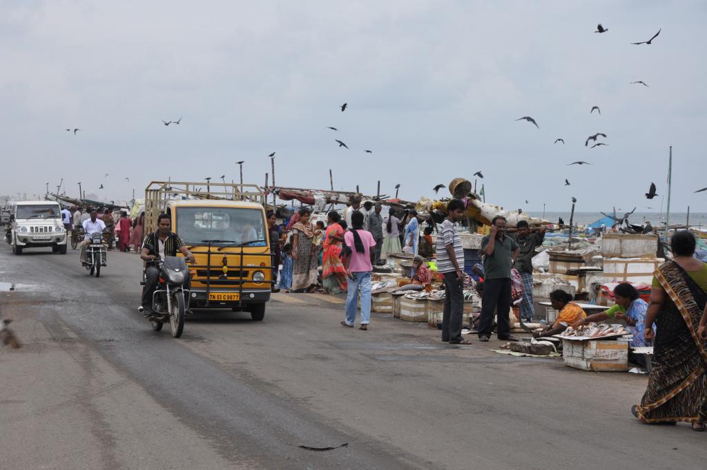 Diese Straße ist für indische Verhältnisse in ungewöhnlich gutem Zustand