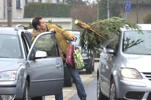 Ratgeber - Sicherer Tannenbaum-Transport