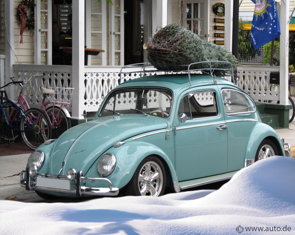 auto.de-Umfrage: So bekommen die Deutschen ihren Weihnachtsbaum nach Hause
