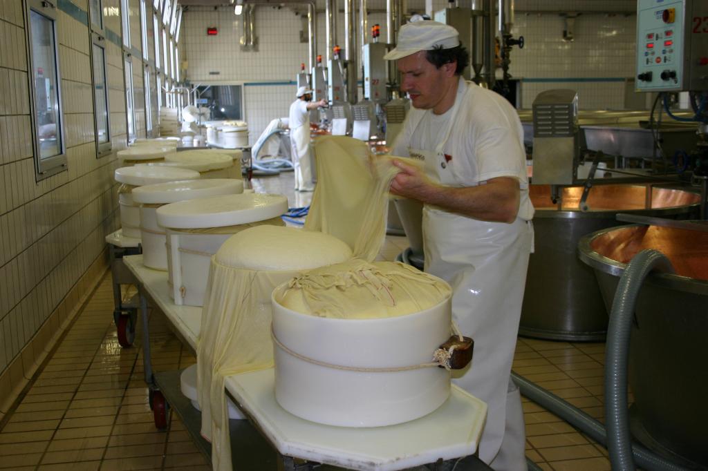 Der frische Käse wird in die Form gespresst.