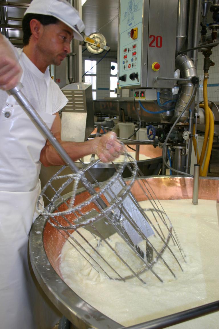 Jeder Käse beginnt mit Milch.