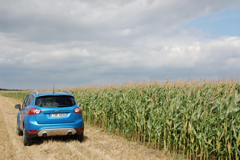 Noch läuft der Ford Kuga im deutschen Saarlouis vom Band. Sein für 2012 erwarteter Nachfolger dagegen könnte in den USA produziert werden.  | Abb. Modell 2010