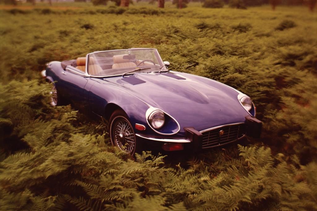 Tradition: 50 Jahre Jaguar E-Type - Ewiger Pulsbeschleuniger