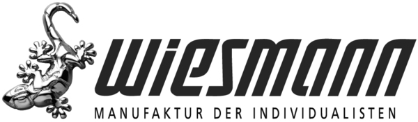 Genf 2011: Wiesmann enthüllt Spyder-Studie