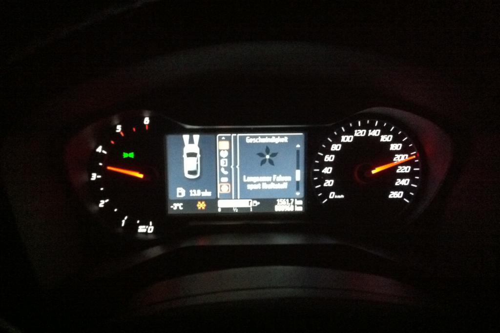 Mahnt zum langsam fahren: Die Öko-Blüte im Display verliert bei schneller Fahrt ihre Blätter