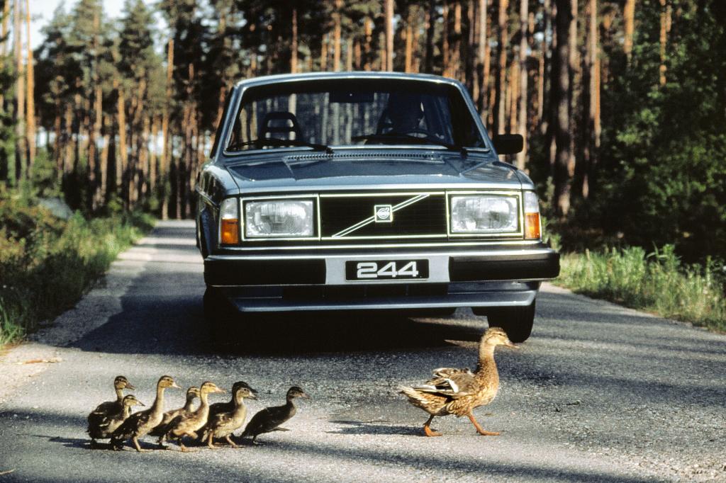 Volvo 242, 1980