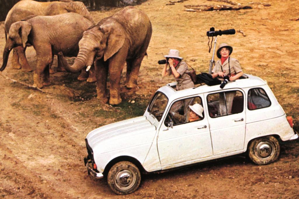 Auch auf Safari macht der R4 eine gute Figur