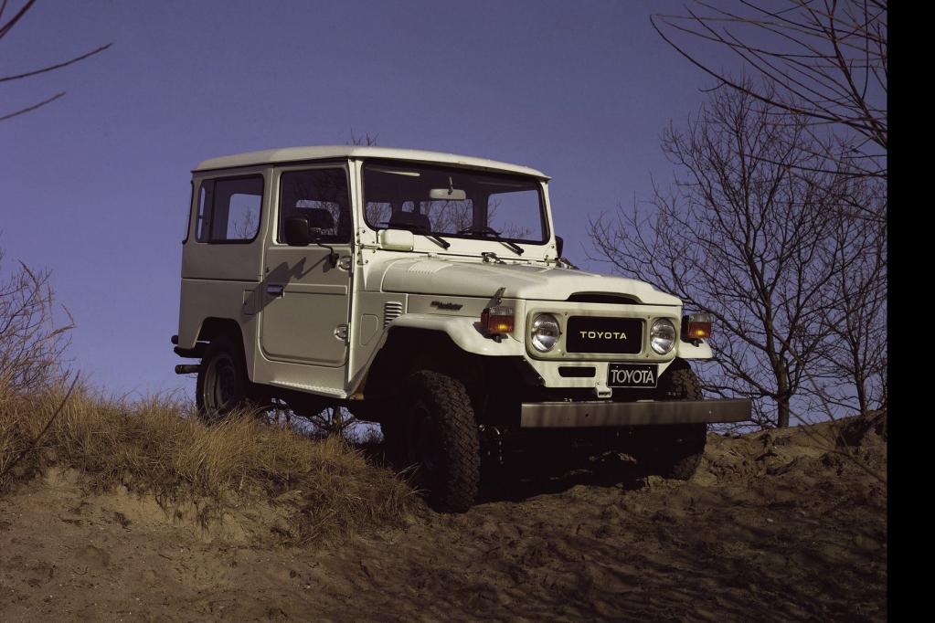 Eisenharter Naturbursche: Der Land Cruiser ist der Inbegriff für Geländegängigkeit. 