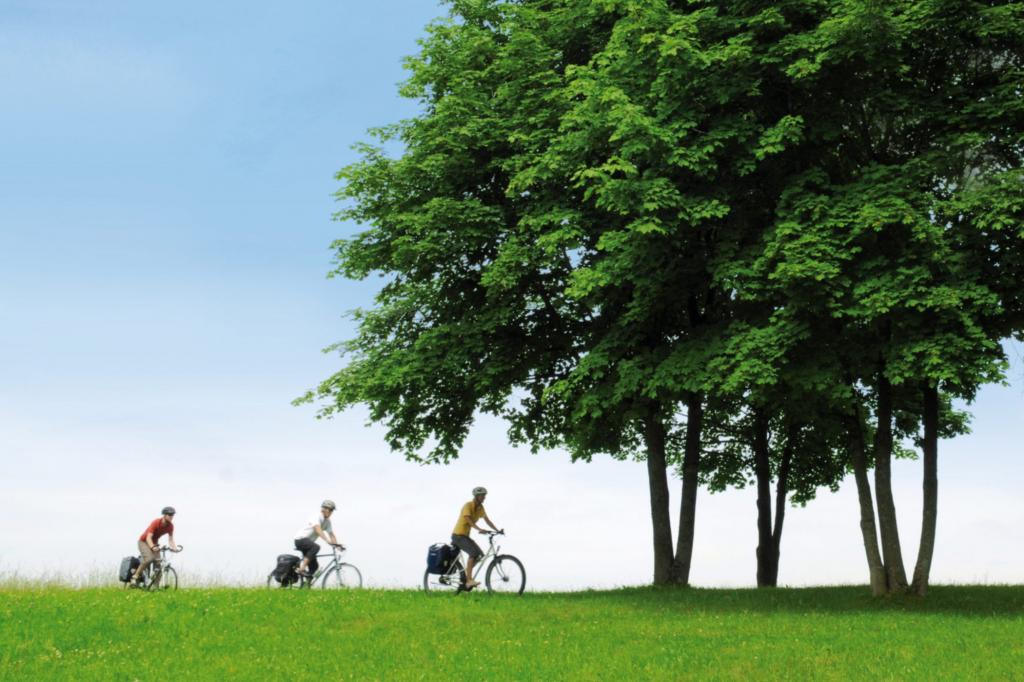 Fahrradsaison 2011 - Perfekt vorbereitet in den Frühling