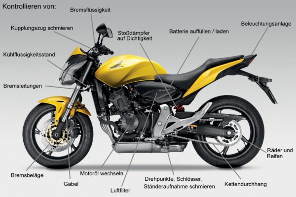 Motorrad mit Frühlingsgefühlen 