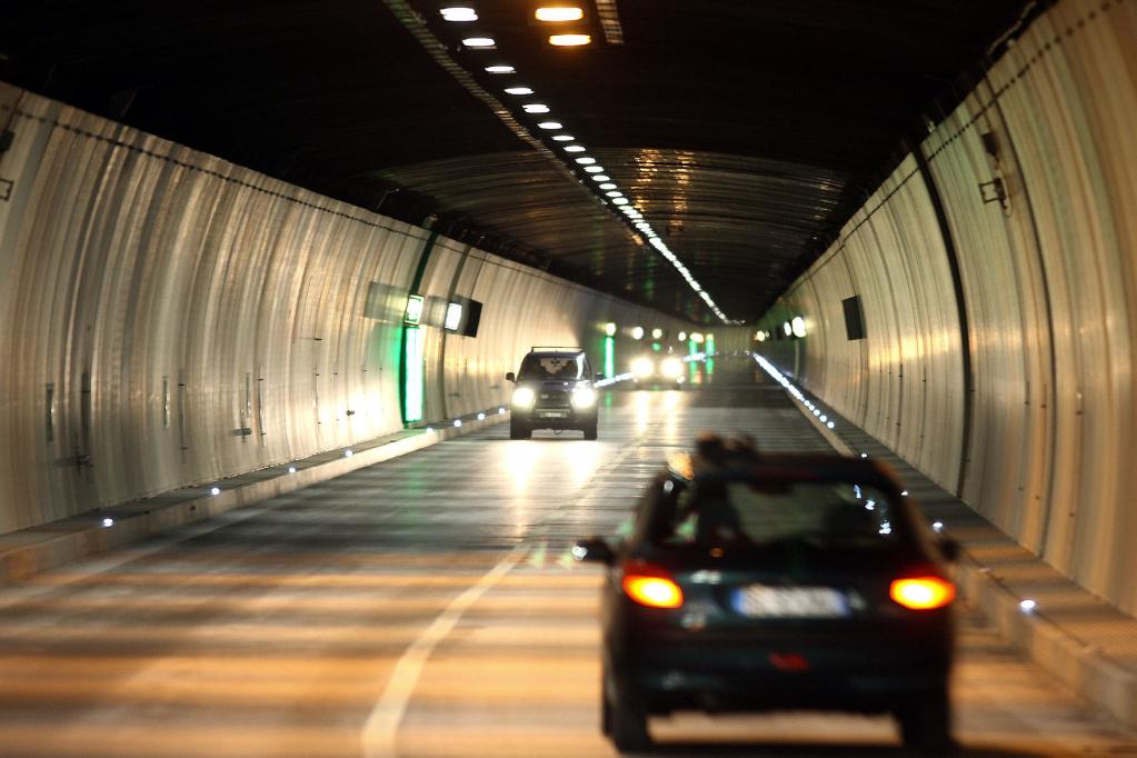 Todesfalle Tunnelbrand: Lockruf des Rotkehlchens soll Leben retten 
