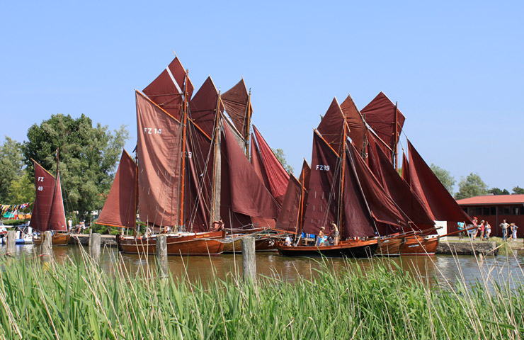 Zeesenbootregatta – Das Auge fährt mit | fotos: matthias dabels/fischlaender segelschule
