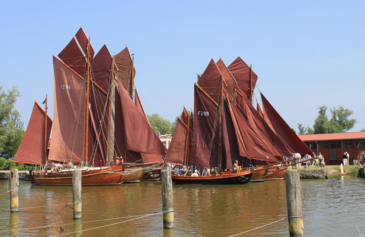 Zeesenbootregatta – Das Auge fährt mit | fotos: matthias dabels/fischlaender segelschule