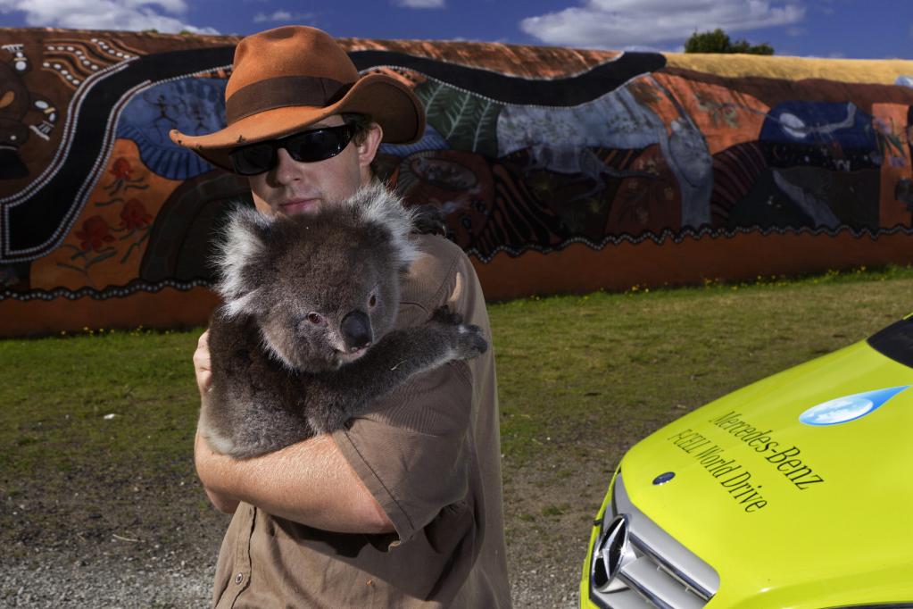 Auch Koalas können sich mit der umweltfreundlichen Technik anfreunden. 